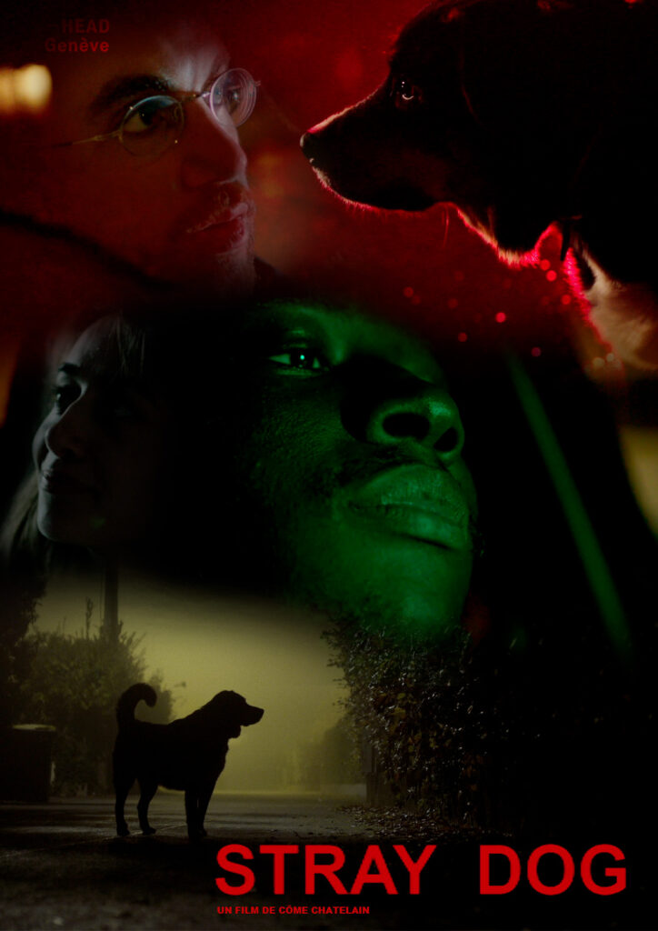 Stray Dog